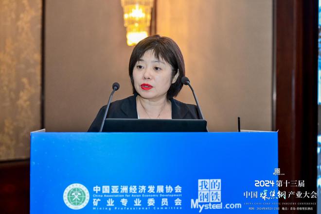 2024第十三届中国煤焦钢产业大会之蒙古国矿业投资交流分享会成功召开(图6)