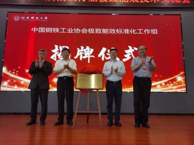2024第二届钢铁行业极致能效技术交流会暨中国钢铁工业协会极致能效标准化工作组成立会召开(图6)