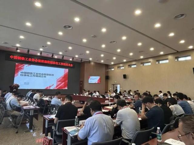 2024第二届钢铁行业极致能效技术交流会暨中国钢铁工业协会极致能效标准化工作组成立会召开(图7)