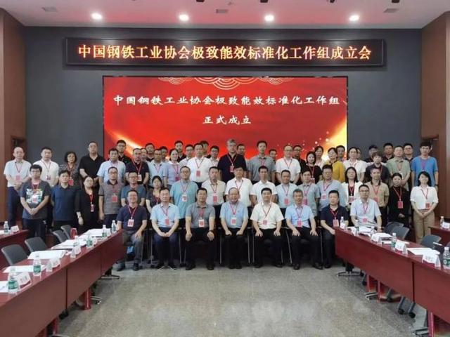 2024第二届钢铁行业极致能效技术交流会暨中国钢铁工业协会极致能效标准化工作组成立会召开(图13)