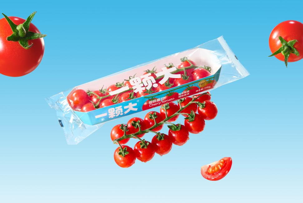 一颗大™亮相2024中国（蚌埠）玻璃产业新技术博览会展现代设施农业成果(图2)