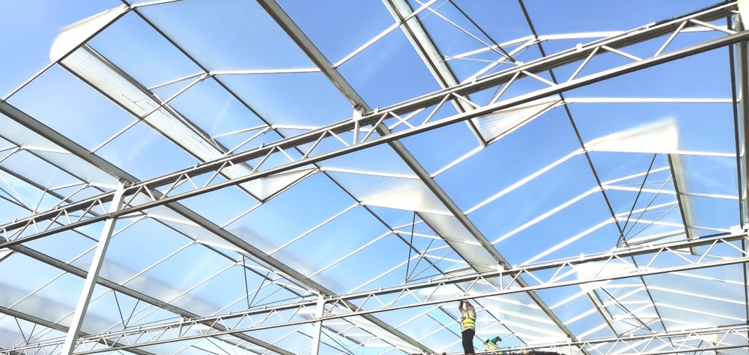 一颗大™亮相2024中国（蚌埠）玻璃产业新技术博览会展现代设施农业成果(图3)