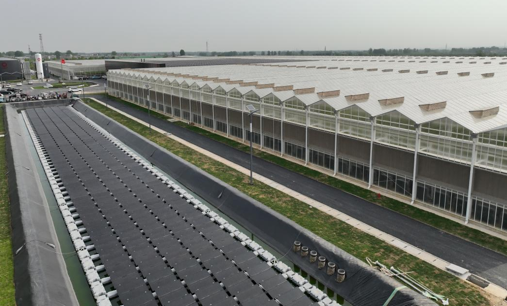 一颗大™亮相2024中国（蚌埠）玻璃产业新技术博览会展现代设施农业成果(图4)