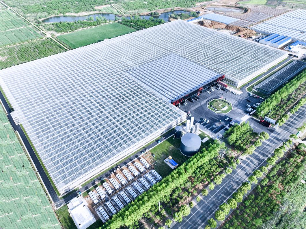 一颗大™亮相2024中国（蚌埠）玻璃产业新技术博览会展现代设施农业成果(图5)