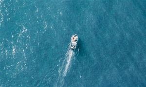 2024钢铁工业行业市场前景及发展形势分析(图4)