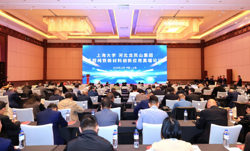 聚焦2024国际特钢博览会——我国5N级高超纯铁新技术有了新突破(图3)