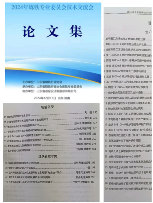 山东省钢铁行业协会成功召开2024年炼铁专业委员会工作年会(图3)