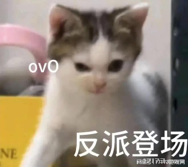 完美Q1净利润163亿！负债千万日本制作人来中国带货(图13)