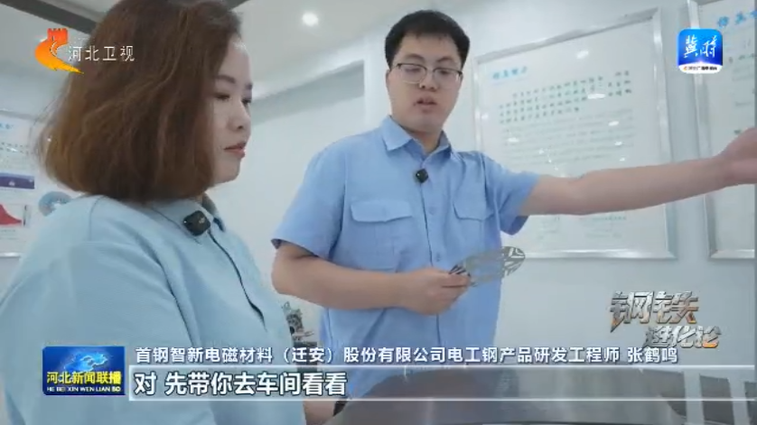 钢铁进化论丨①毫米级电工钢如何驱动一辆新能源车(图5)