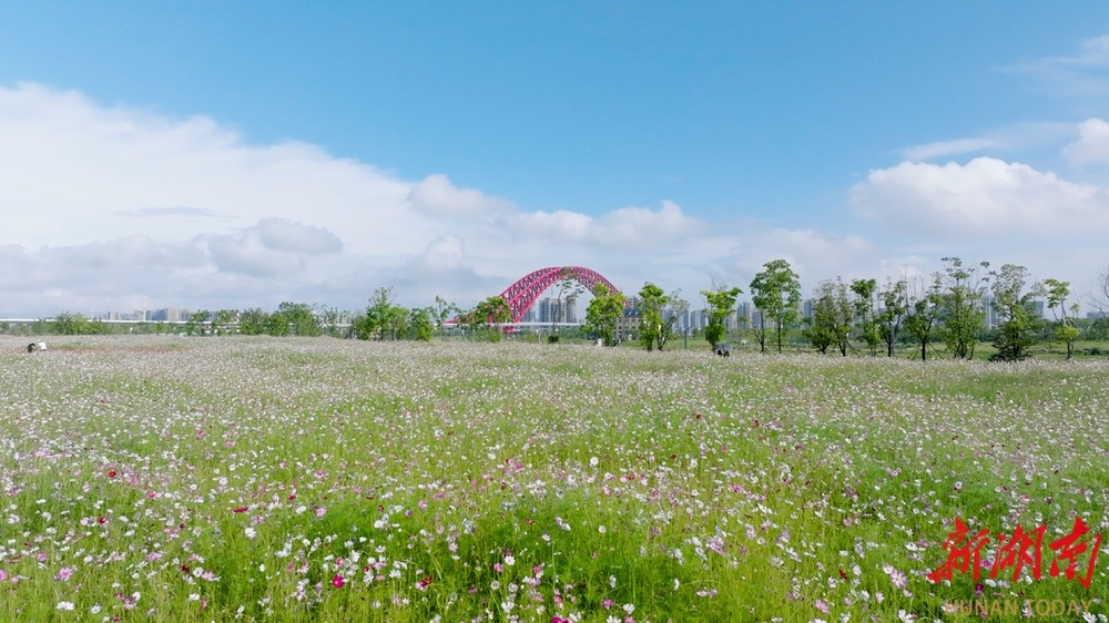 解码株洲N+T艺术馆——当鹤舞遇见钢火制造名城的融合新生(图6)
