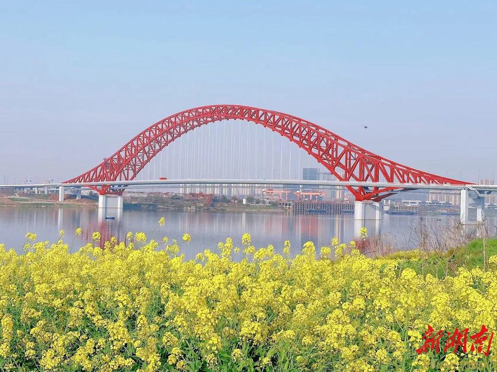 解码株洲N+T艺术馆——当鹤舞遇见钢火制造名城的融合新生(图14)