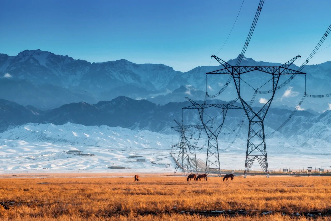 全球疯抢中国变压器(图3)